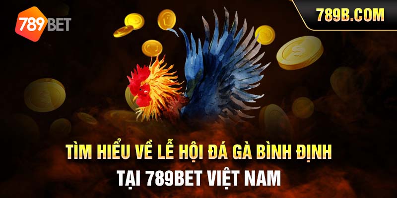 Tìm Hiểu Về Lễ Hội Đá Gà Bình Định Tại 789BET Việt Nam